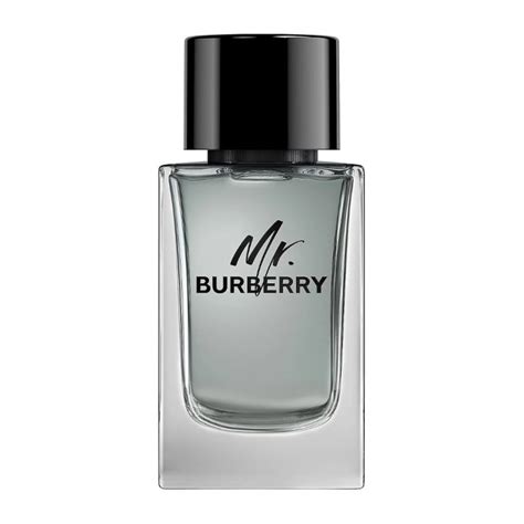 burberry for him eau de toilette|More.